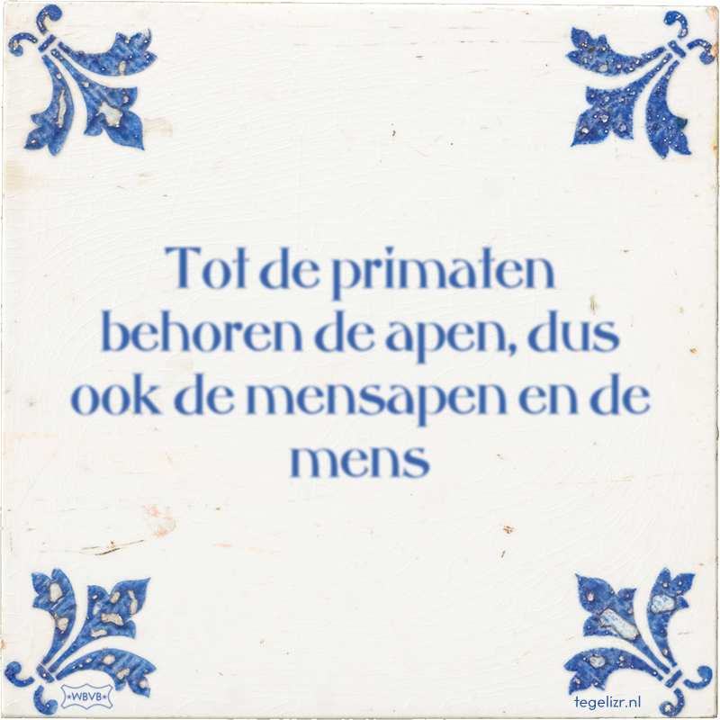 Tot de primaten behoren de apen, dus ook de mensapen en de mens - Online tegeltjes bakken