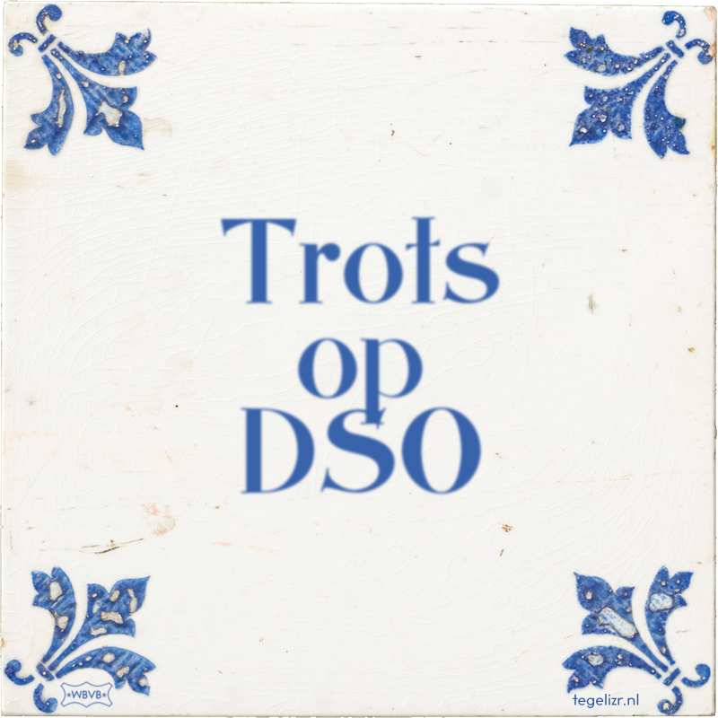 Trots op DSO - Online tegeltjes bakken