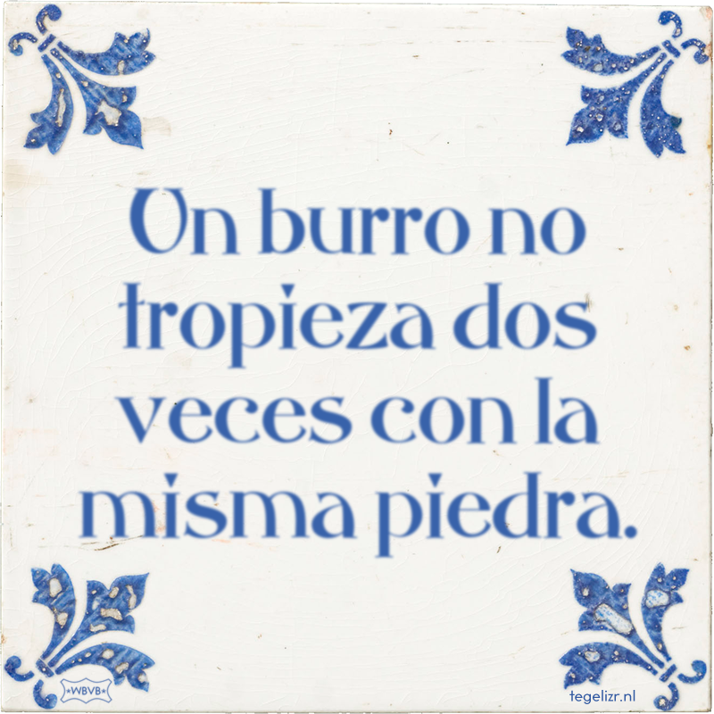 Un burro no tropieza dos veces con la misma piedra. - Online tegeltjes bakken