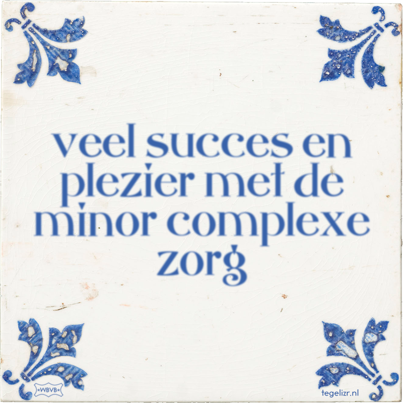 veel succes en plezier met de minor complexe zorg - Online tegeltjes bakken