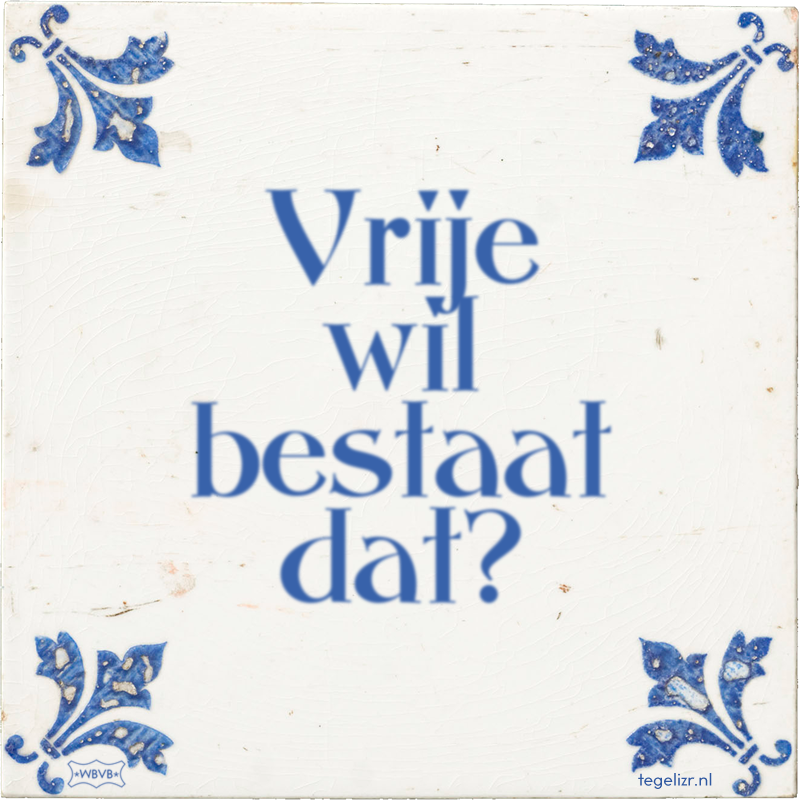 Vrije wil bestaat dat? - Online tegeltjes bakken