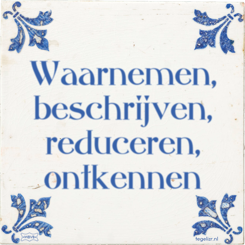 Waarnemen, beschrijven, reduceren, ontkennen - Online tegeltjes bakken