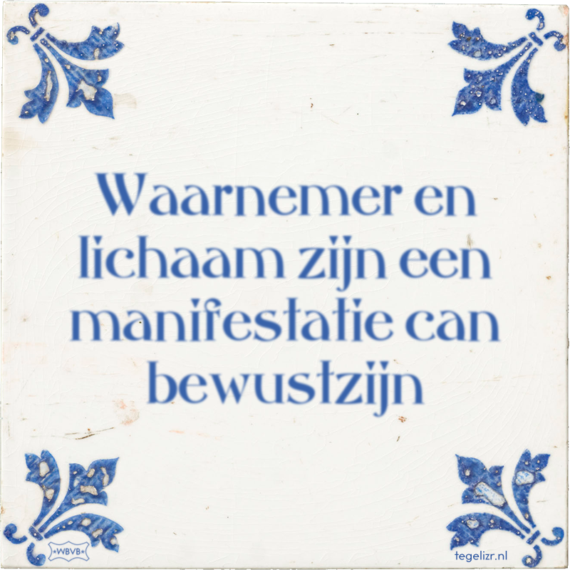 Waarnemer en lichaam zijn een manifestatie can bewustzijn - Online tegeltjes bakken