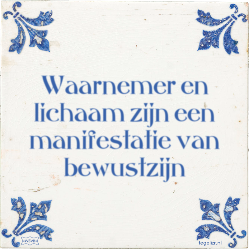 Waarnemer en lichaam zijn een manifestatie van bewustzijn - Online tegeltjes bakken