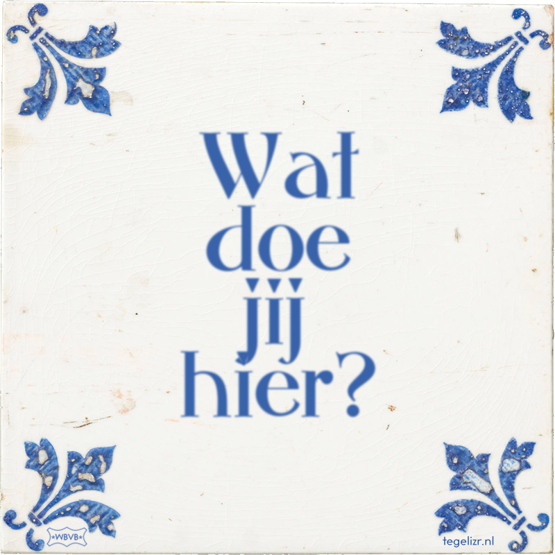Wat doe jij hier? - Online tegeltjes bakken