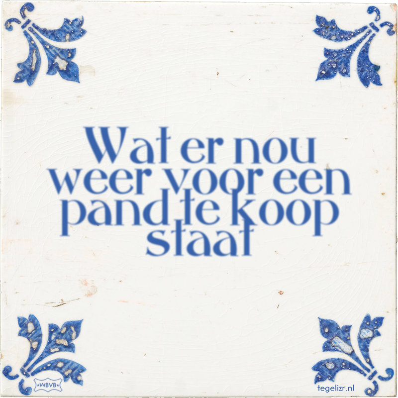 Wat er nou weer voor een pand te koop staat - Online tegeltjes bakken