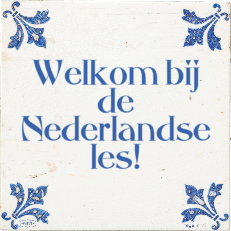 Welkom bij de Nederlandse les! - Online tegeltjes bakken