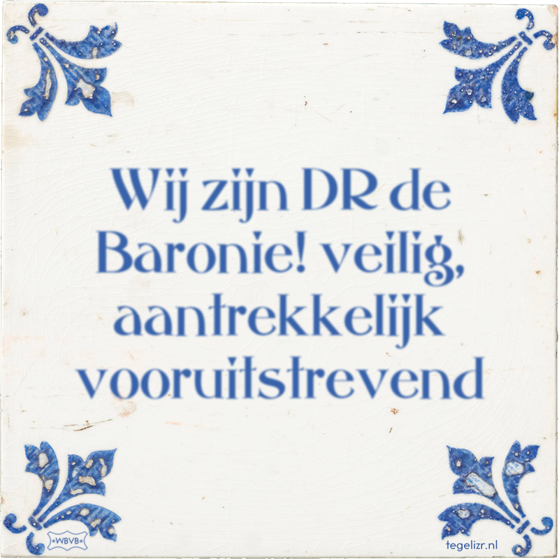 Wij zijn DR de Baronie! veilig, aantrekkelijk vooruitstrevend - Online tegeltjes bakken