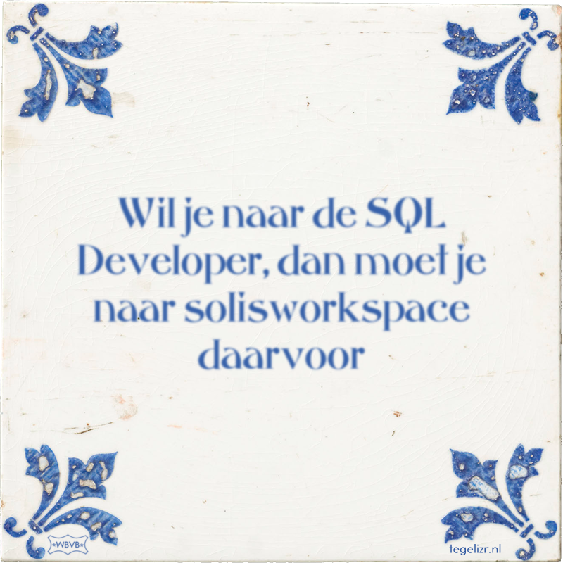 Wil je naar de SQL Developer, dan moet je naar solisworkspace daarvoor - Online tegeltjes bakken