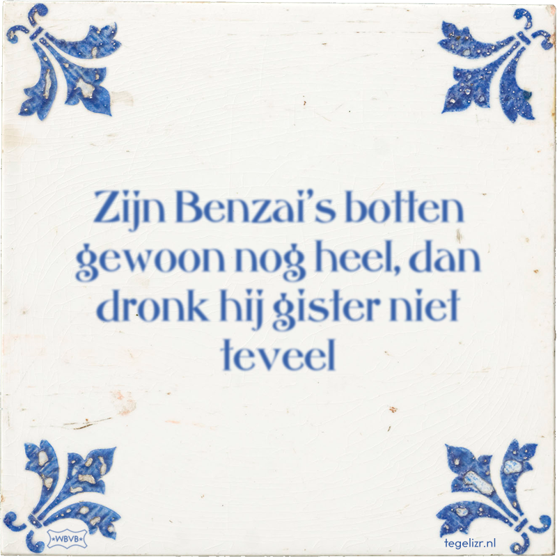 Zijn Benzai's botten gewoon nog heel, dan dronk hij gister niet teveel - Online tegeltjes bakken