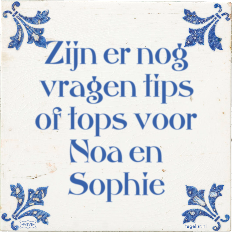 Zijn er nog vragen tips of tops voor Noa en Sophie - Online tegeltjes bakken