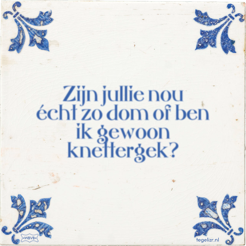 Zijn jullie nou écht zo dom of ben ik gewoon knettergek? - Online tegeltjes bakken