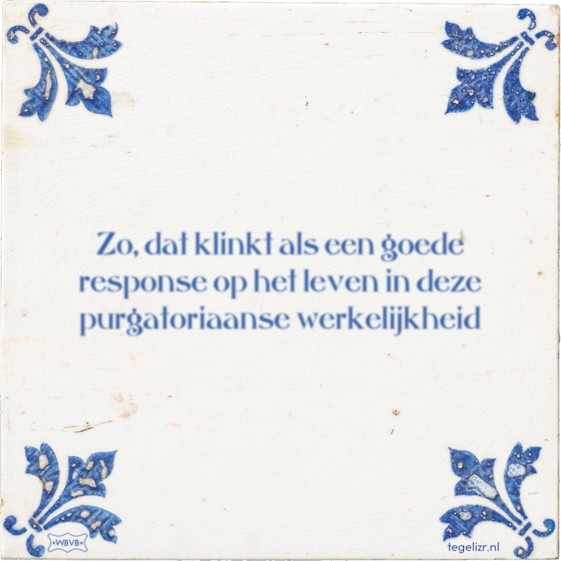 Zo, dat klinkt als een goede response op het leven in deze purgatoriaanse werkelijkheid - Online tegeltjes bakken