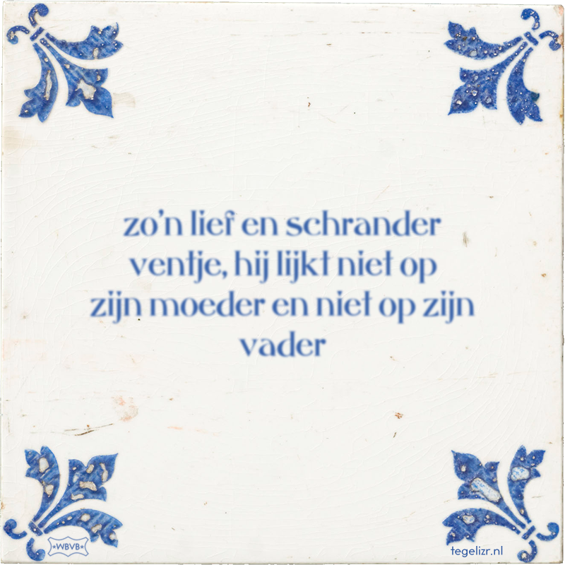 zo'n lief en schrander ventje, hij lijkt niet op zijn moeder en niet op zijn vader - Online tegeltjes bakken