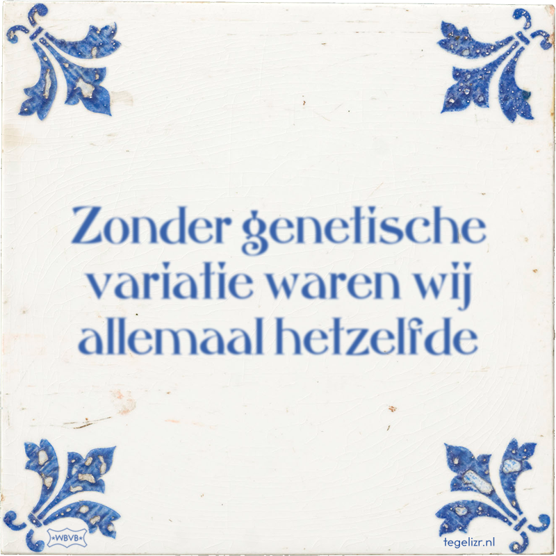Zonder genetische variatie waren wij allemaal hetzelfde - Online tegeltjes bakken