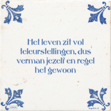 Het leven zit vol teleurstellingen, dus verman jezelf en regel het gewoon - 22 keer bekeken