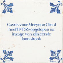 Casus voor Meryem: Client heeft PTSS opgelopen na inzage van zijn eerste loonstrook - 14 keer bekeken