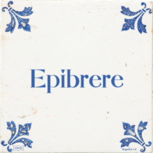 Epibrere - 7 keer bekeken