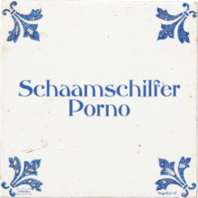 Schaamschilfer Porno - 2 keer bekeken