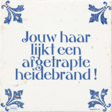 Jouw haar lijkt een afgetrapte heidebrand ! - 1 keer bekeken