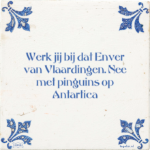Werk jij bij dat Enver van Vlaardingen. Nee met pinguins op Antartica - 5 keer bekeken