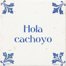Hola cachoyo - 2 keer bekeken