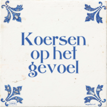 Koersen op het gevoel - 3 keer bekeken