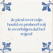 Je piest over mijn hoofd en probeert mij te overtuigen dat het regent - 14 keer bekeken