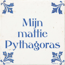 Mijn mattie Pythagoras - 9 keer bekeken