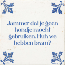 Jammer dat je geen hondje mocht gebruiken. Huh we hebben bram? - 7 keer bekeken