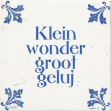 Klein wonder groot geluj - 9 keer bekeken