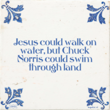 Jesus could walk on water, but Chuck Norris could swim through land - 7 keer bekeken