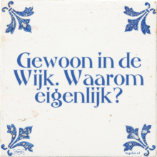 Gewoon in de Wijk. Waarom eigenlijk? - 1 keer bekeken