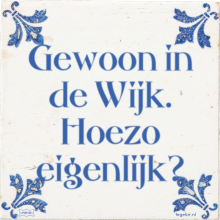 Gewoon in de Wijk. Hoezo eigenlijk? - 1 keer bekeken
