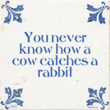 You never know how a cow catches a rabbit - 5 keer bekeken