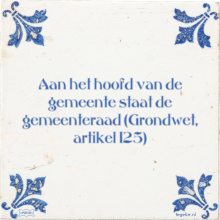 Aan het hoofd van de gemeente staat de gemeenteraad (Grondwet, artikel 125) - 2 keer bekeken