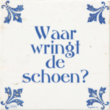 Waar wringt de schoen? - 4 keer bekeken