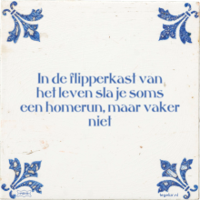 In de flipperkast van het leven sla je soms een homerun, maar vaker niet - 26 keer bekeken