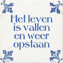 Het leven is vallen en weer opstaan - 1 keer bekeken