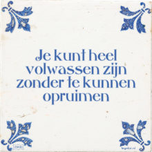 Je kunt heel volwassen zijn zonder te kunnen opruimen - 150 keer bekeken