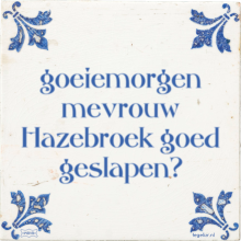 goeiemorgen mevrouw Hazebroek goed geslapen? - 2 keer bekeken