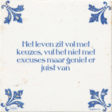 Het leven zit vol met keuzes, vul het niet met excuses maar geniet er juist van - 0 keer bekeken