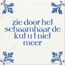 zie door het schaamhaar de kut u t niet meer - 2 keer bekeken