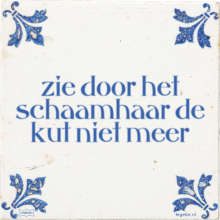 zie door het schaamhaar de kut niet meer - 1 keer bekeken