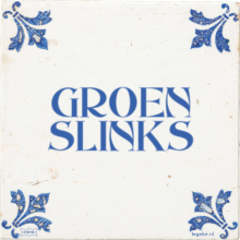 GROEN SLINKS - 1 keer bekeken