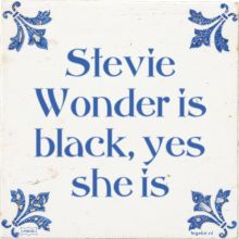 Stevie Wonder is black, yes she is - 1 keer bekeken