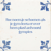 Hoe noem.je schoenen als je gym leera er over heen plast antwoord gympies - 28 keer bekeken