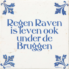 Regen Raven is leven ook under de Bruggen - 1 keer bekeken