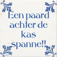 Een paard achter de kas spanne!! - 5 keer bekeken