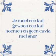 Je moet een kat gewoon een kat noemen en geen cavia met snor - 2 keer bekeken